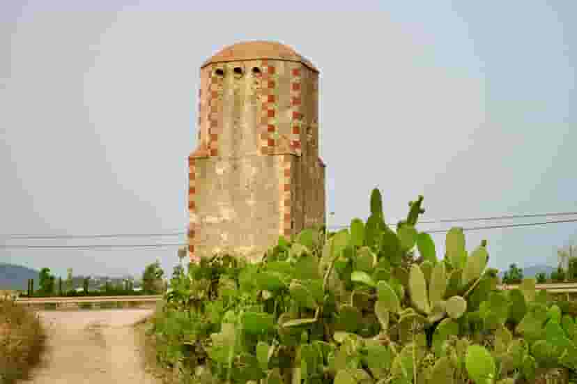 Image 10
