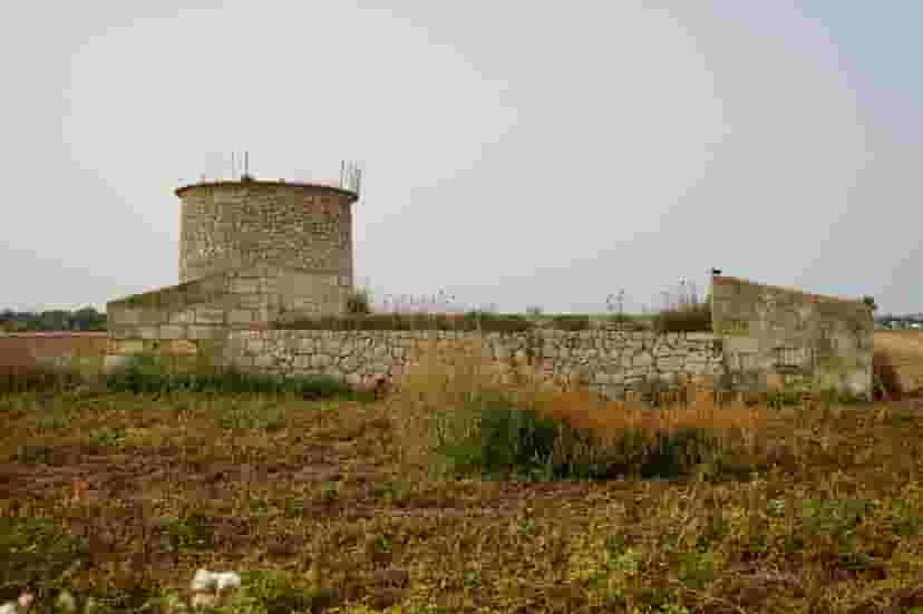 Image 11