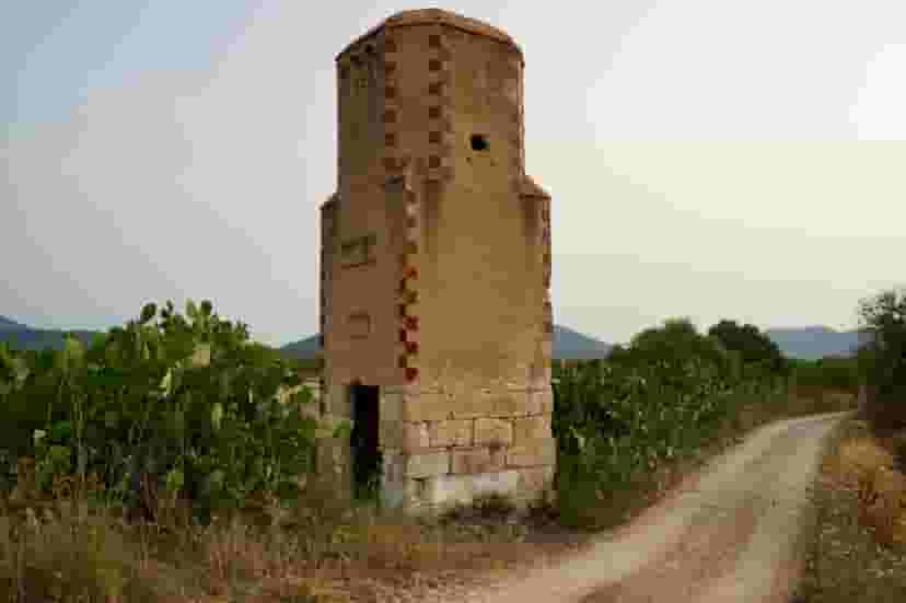 Image 6