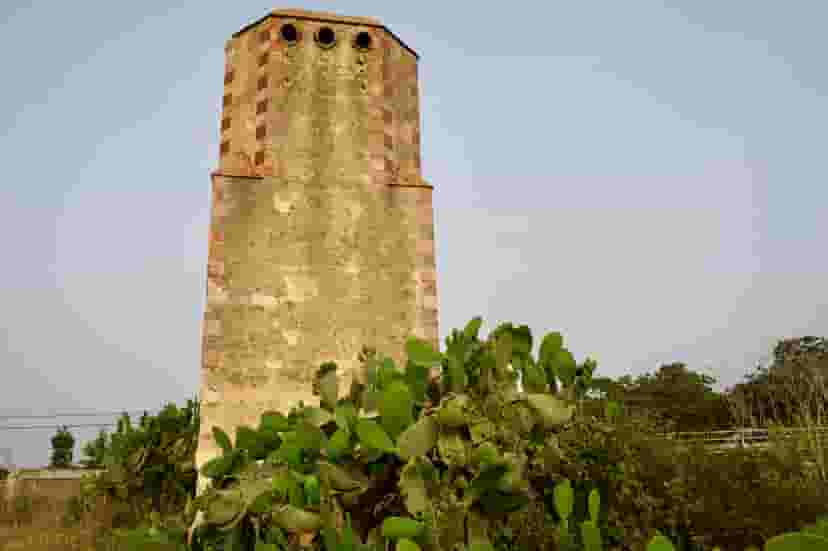 Image 8